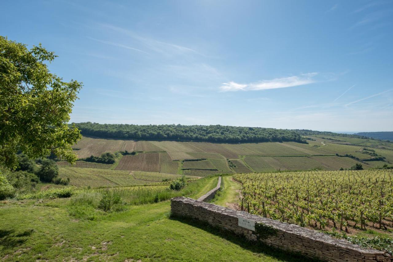 Chez Joseph - Au Coeur Des Vignes De Saint-Romain المظهر الخارجي الصورة